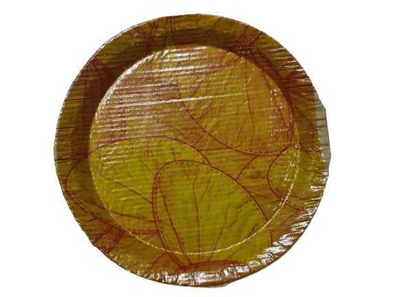 Eco-Friendly Disposable Areca Leaf Plates | 100% Natural & Biodegradable | Perfect for Parties, Weddings, and Events