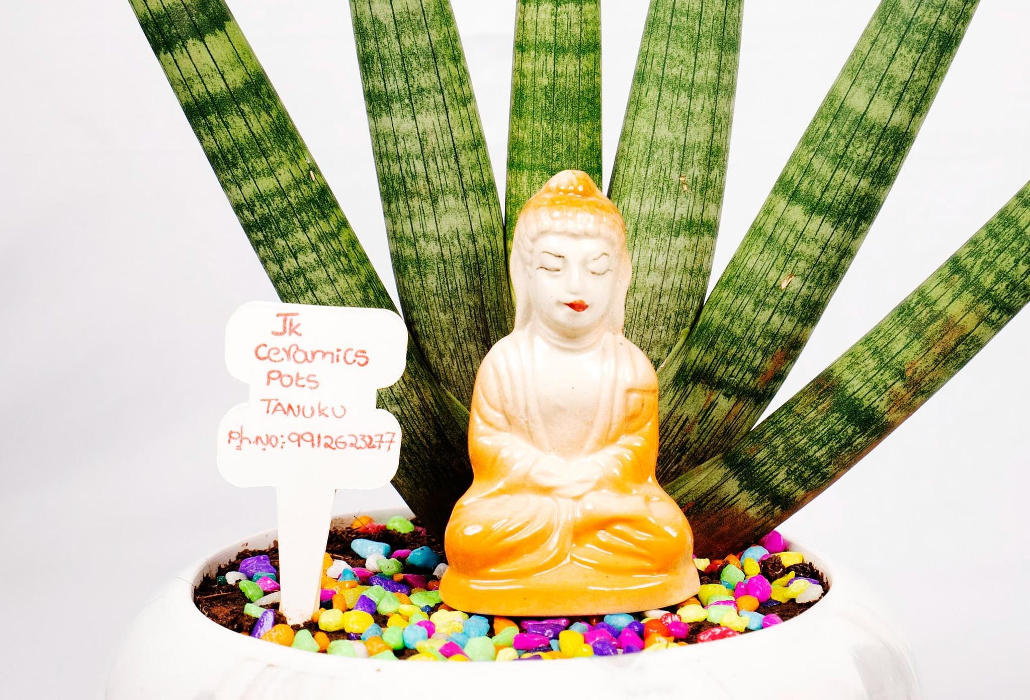 Ceramic Buddha Statue Planter Pot with Snake Plant"