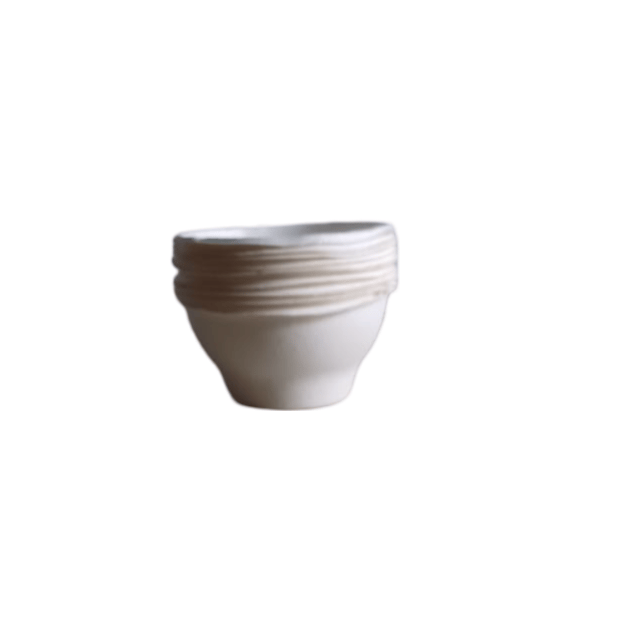 100% Natural Disposable Bowls - Eco-Friendly and Biodegradable pack of 25