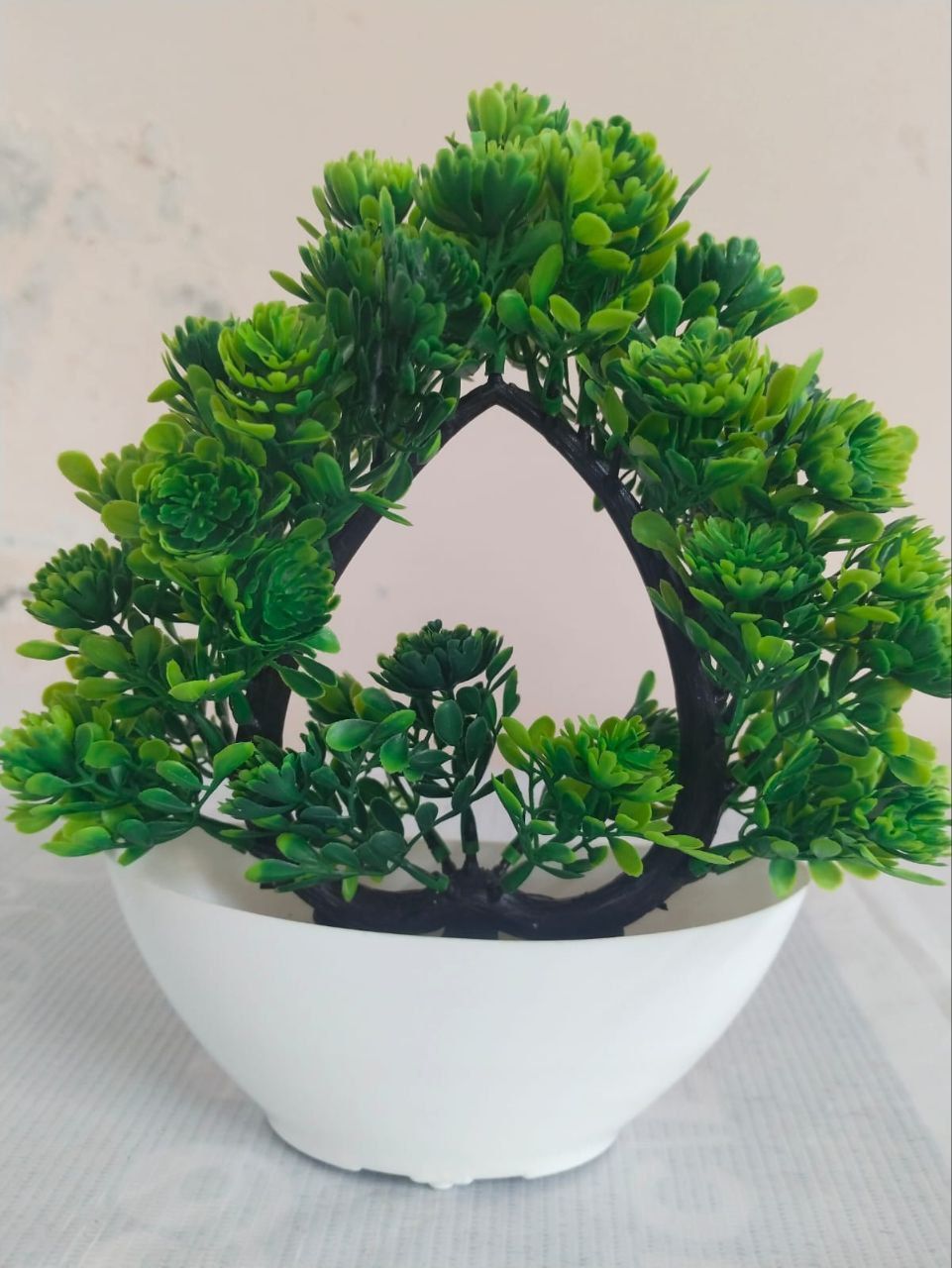 Bonsai Tree in White Potted Plant