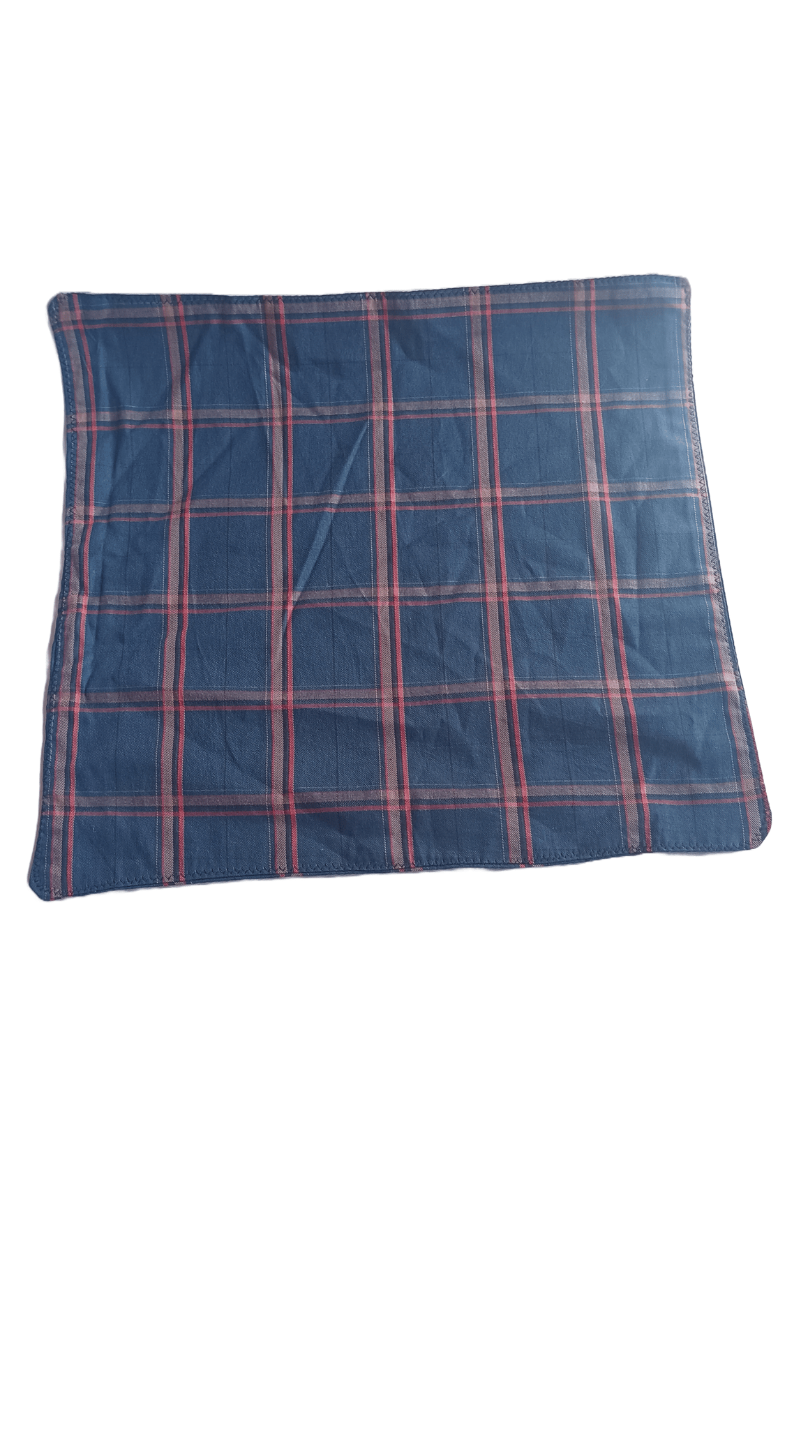 Blue and Red Plaid Handkerchief