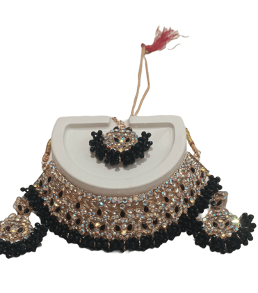 Indian Traditional Gold Plated Kundan Meenakari Pearl Choker Necklace Jewelry Set with Earrings for Women