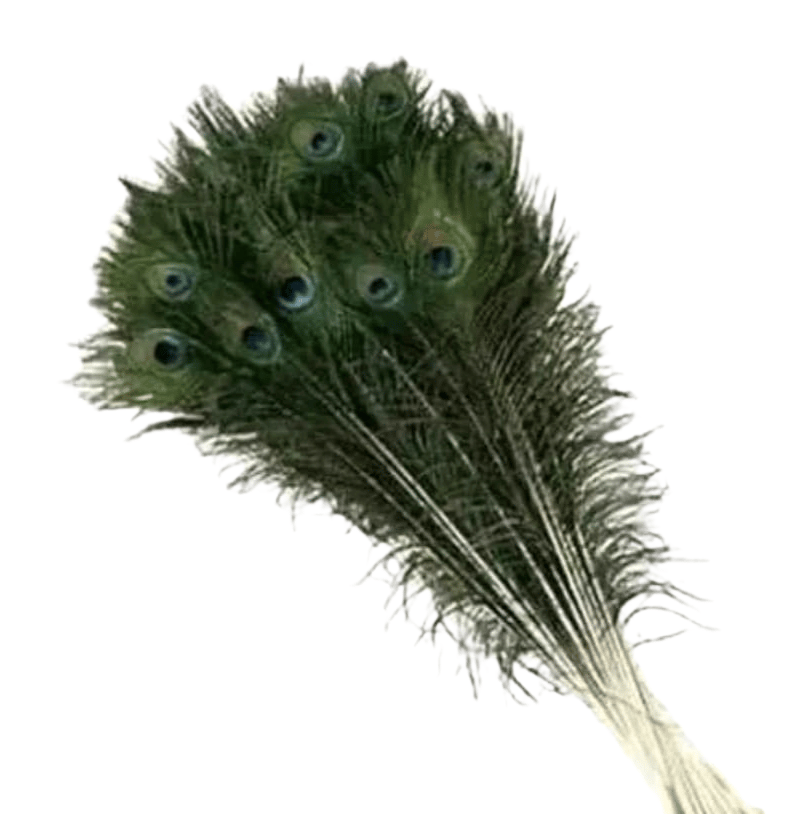 10pcs Peacock Feathers for Crafts - 12-14 Inches Long