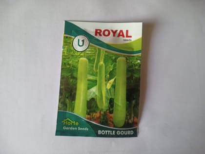 Royal Seeds Bottle Gourd Seeds for Home Garden, 100% Pure and Natural, Open Pollinated, Non-GMO, F1 Hybrid, High Yielding, Suitable for All Seasons