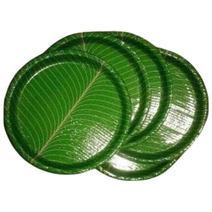 100% Natural Areca Leaf Plates | Disposable and Eco-Friendly | 8 Inches | Pack of 25