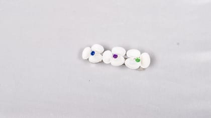 Handmade seashell hair clip