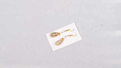 Elegant Brown Agate Earrings