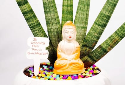 Snake Plant with Buddha Statue in White Ceramic Pot