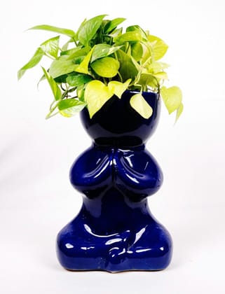 stunning look  decarative pot