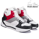 ... ...
