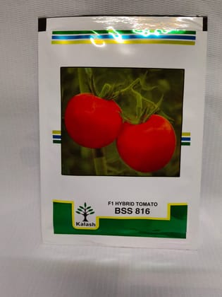 Hybrid Tomato