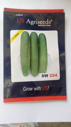 US AgriSeeds Cucumber Seeds - F1 Hybrid, SW 224 - 100% Pure and Natural - High Yielding - Open Pollinated - Non-GMO - Heirloom - Vegetable Seeds for Planting US AgriSeeds Cucumber Seeds - F1 Hybrid, SW 224 - 100% Pure and Natural - High Yielding - Open Pollinated - Non-GMO - Heirloom - Vegetable Seeds for Planting