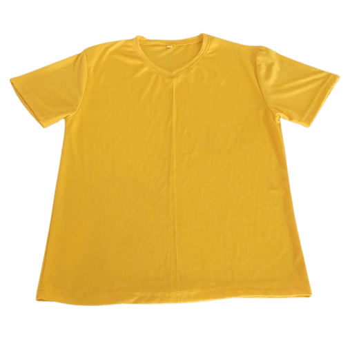 Unisex V-Neck T-Shirt
