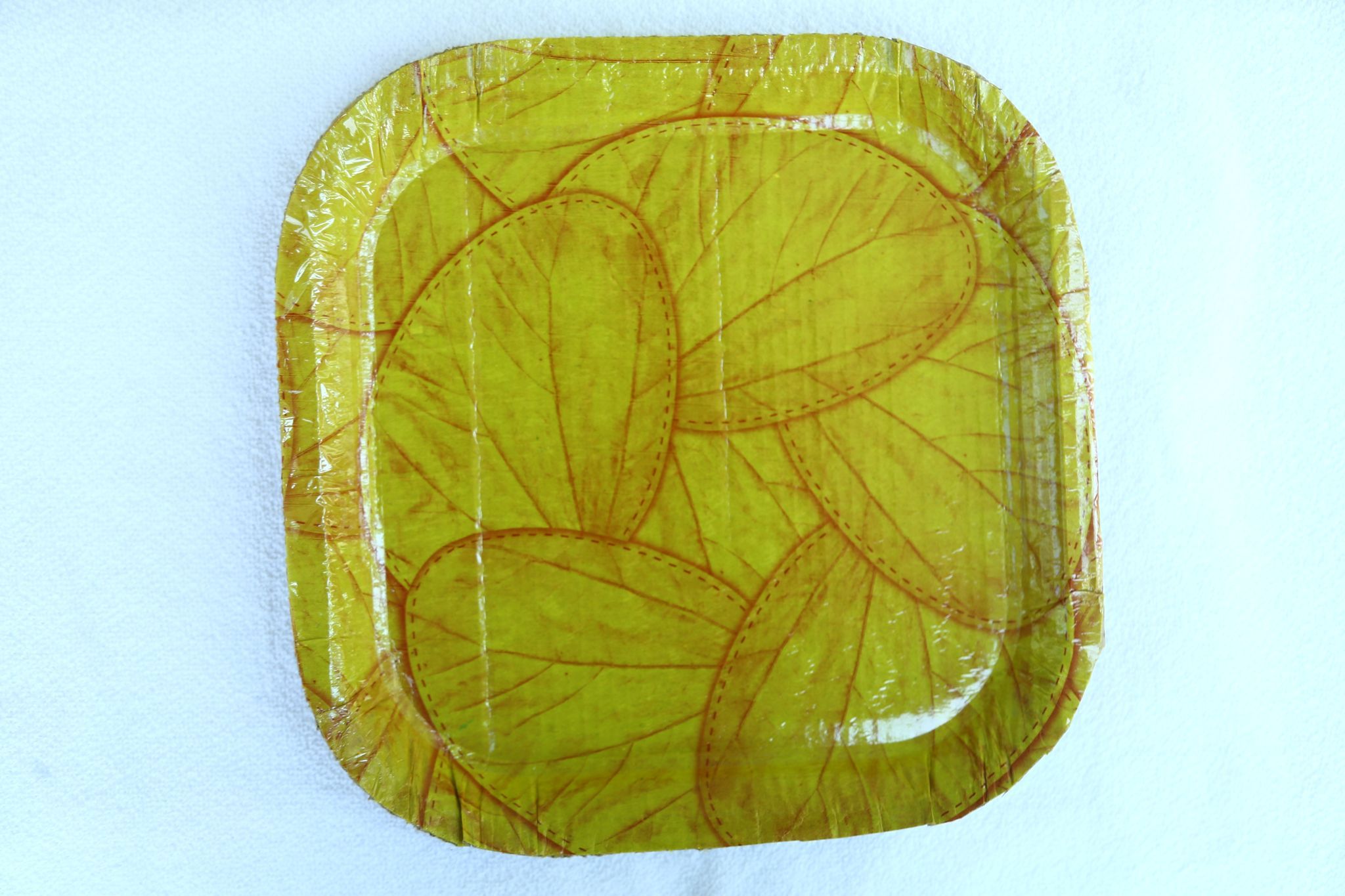 RAJESWARI PAPER PLATES 10" Square Paper Plates PACK OF 20