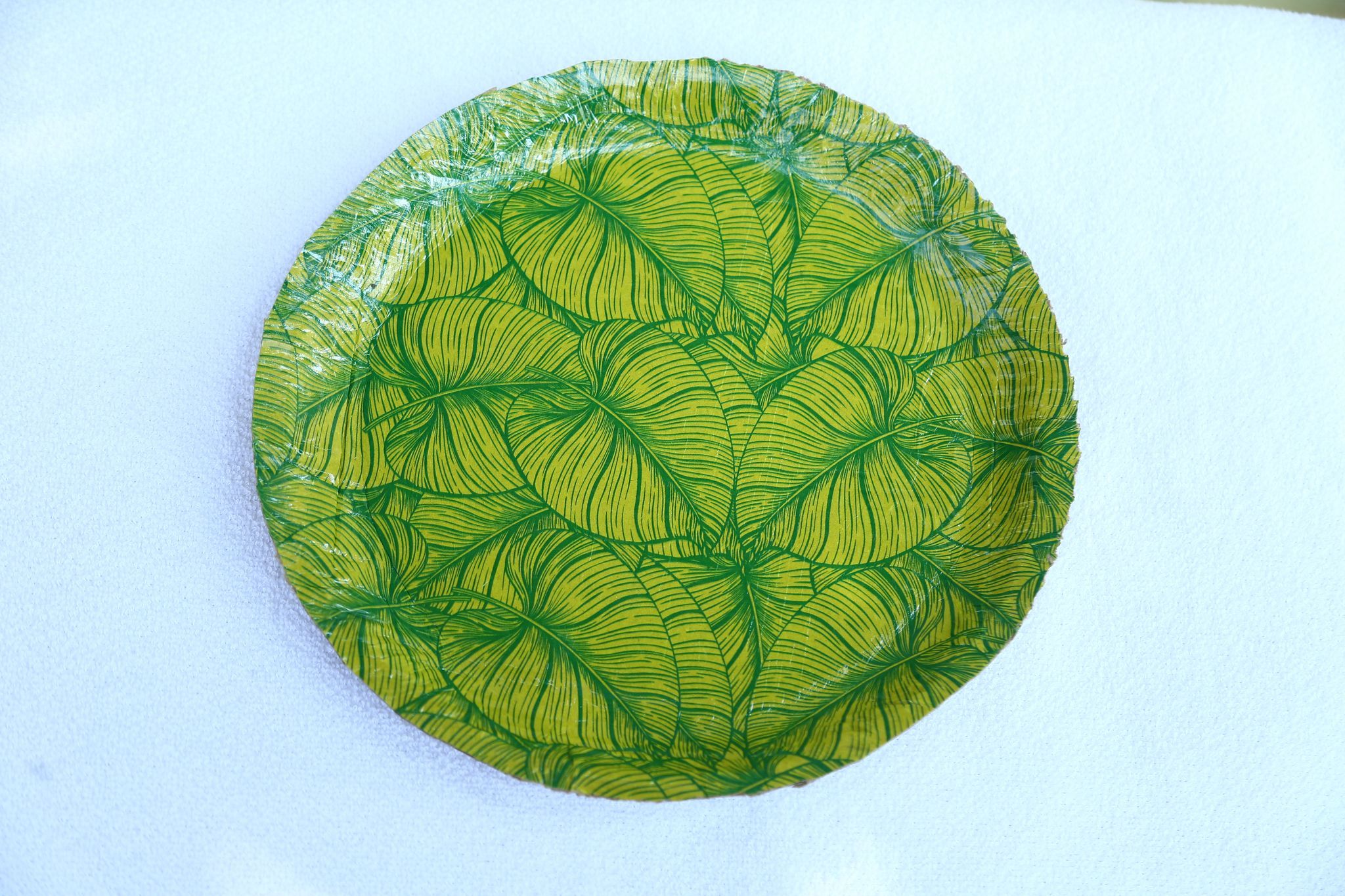 RAJA RAJESWARI PAPER PLATES  8-inch - Pack OF 20