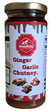 Ginger Garlic Chutney Ginger Garlic Chutney