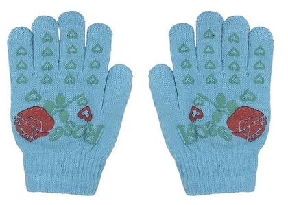 Girls' Blue Alice in Wonderland Gloves with Red Rose Applique Girls' Blue Alice in Wonderland Gloves with Red Rose Applique