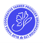 ब्लू वंदा कोआपरेटिव फार्मर प्रोड्यूसर आर्गेनाइजेशन 