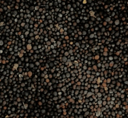 ... ...