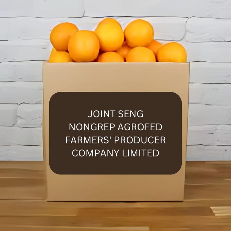 ... ...