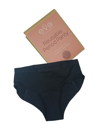 Reusable Period Panty (For Low to Moderate Flow)