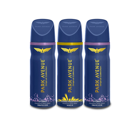 Park Avenue Body Deo, Good Morning, Storm, 390 ml Bottle