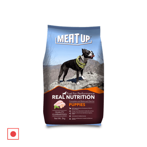 Meat Up Puppy Dry Dog Food - Chicken, 3 kg Bag