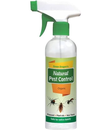 Green Dragon Plastic Insect Killer