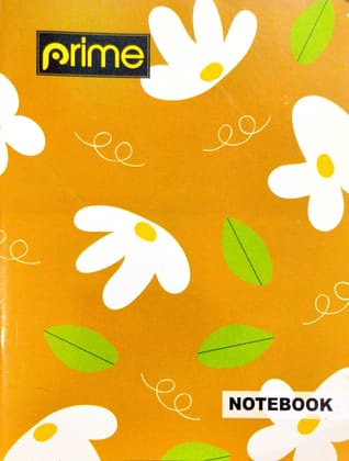 Small Notebooks Double Line (160 Ruled Pages) | Soft Cover | 18 cm x 24 cm Approx | Writing Books | Pack of 6 Books | GSM 57