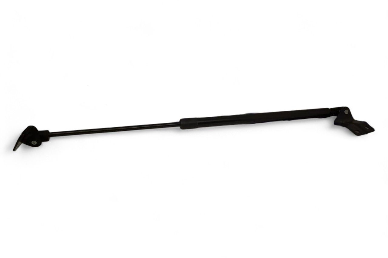 Monroe Tailgate Gas Spring - RH M2N3SG010
