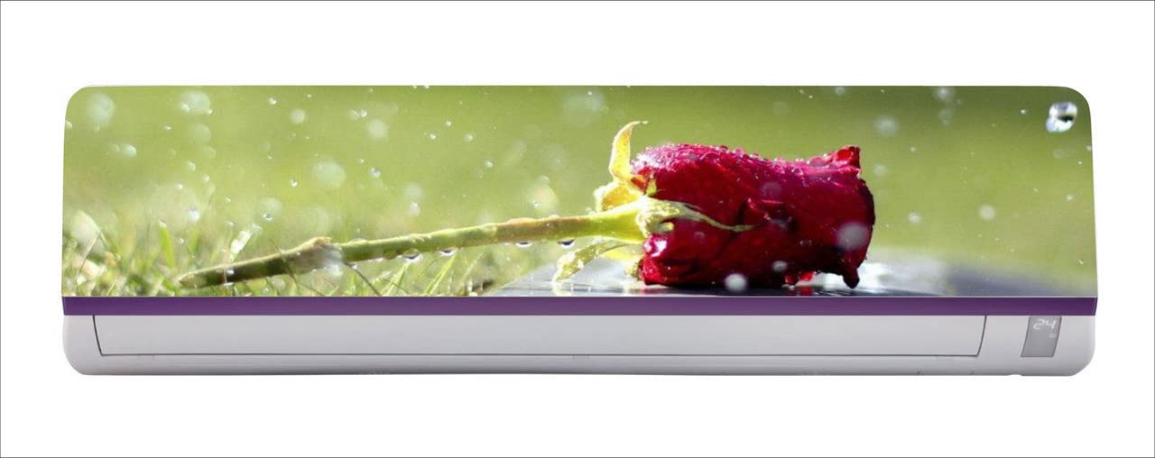 DreamKraft Beautiful 3D Red Rose with Water Drops AC Sticker (Multicolor PVC Vinyl, 30cm X 91cm)