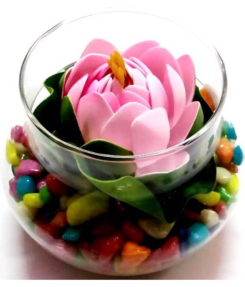 Green plant indoor Lotus Pink Flowers With Pot - Pack of 1