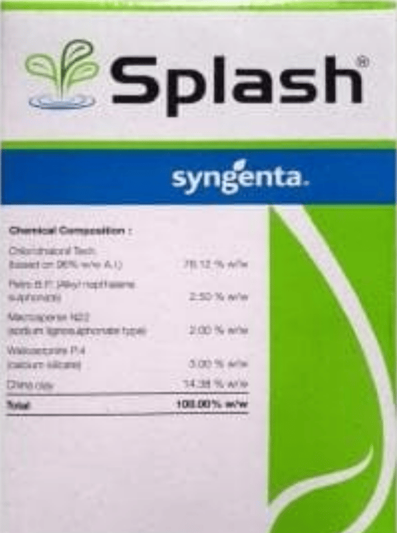 SPLASH