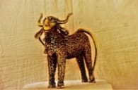 SPIRRAL BULL SPIRRAL BULL