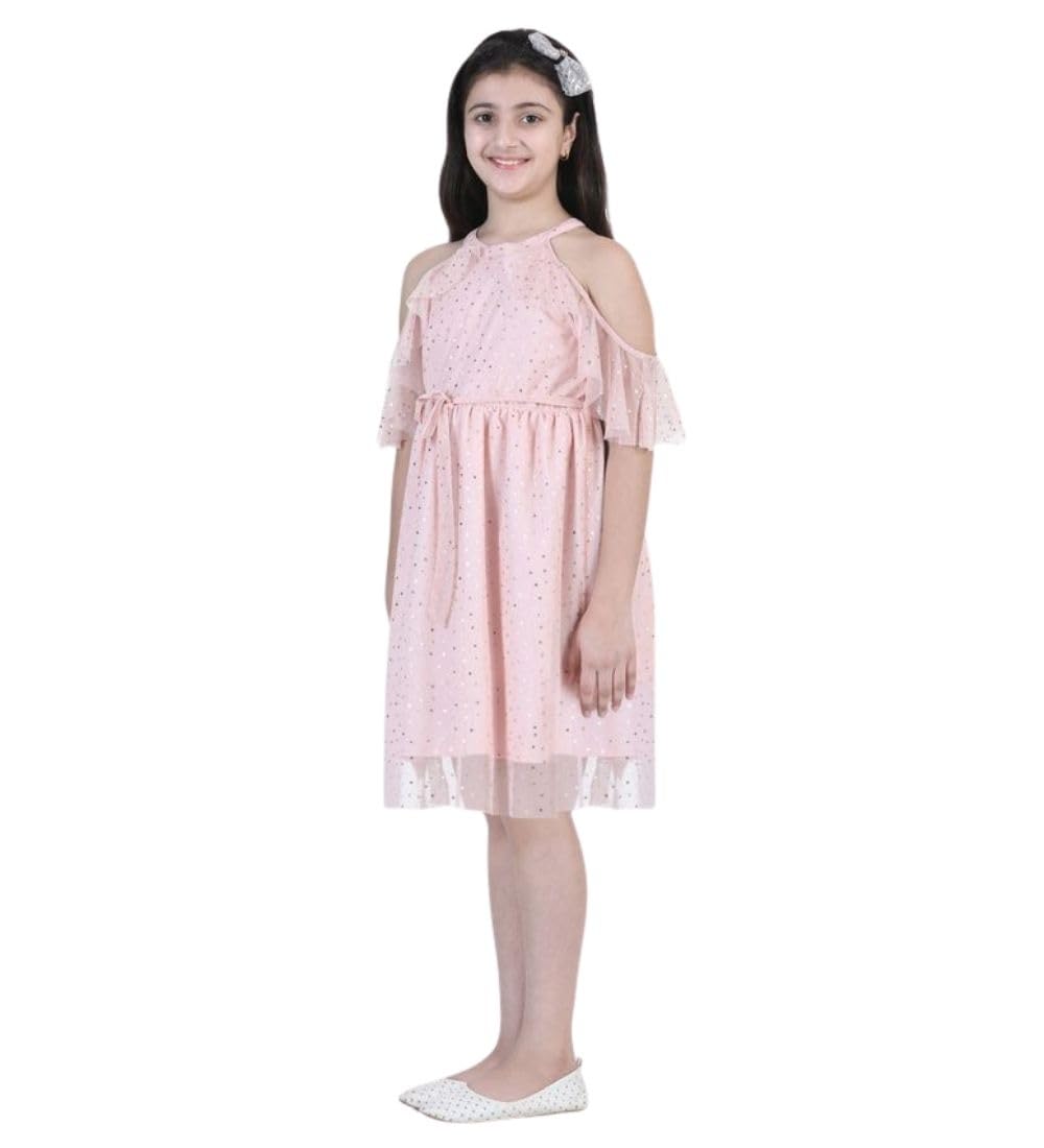 Girl's Net Printed Sleeveless Dress (Blush Pink, 4-5-Yrs)-PID66037