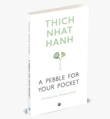 A PEBBLE FOR YOUR POCKET