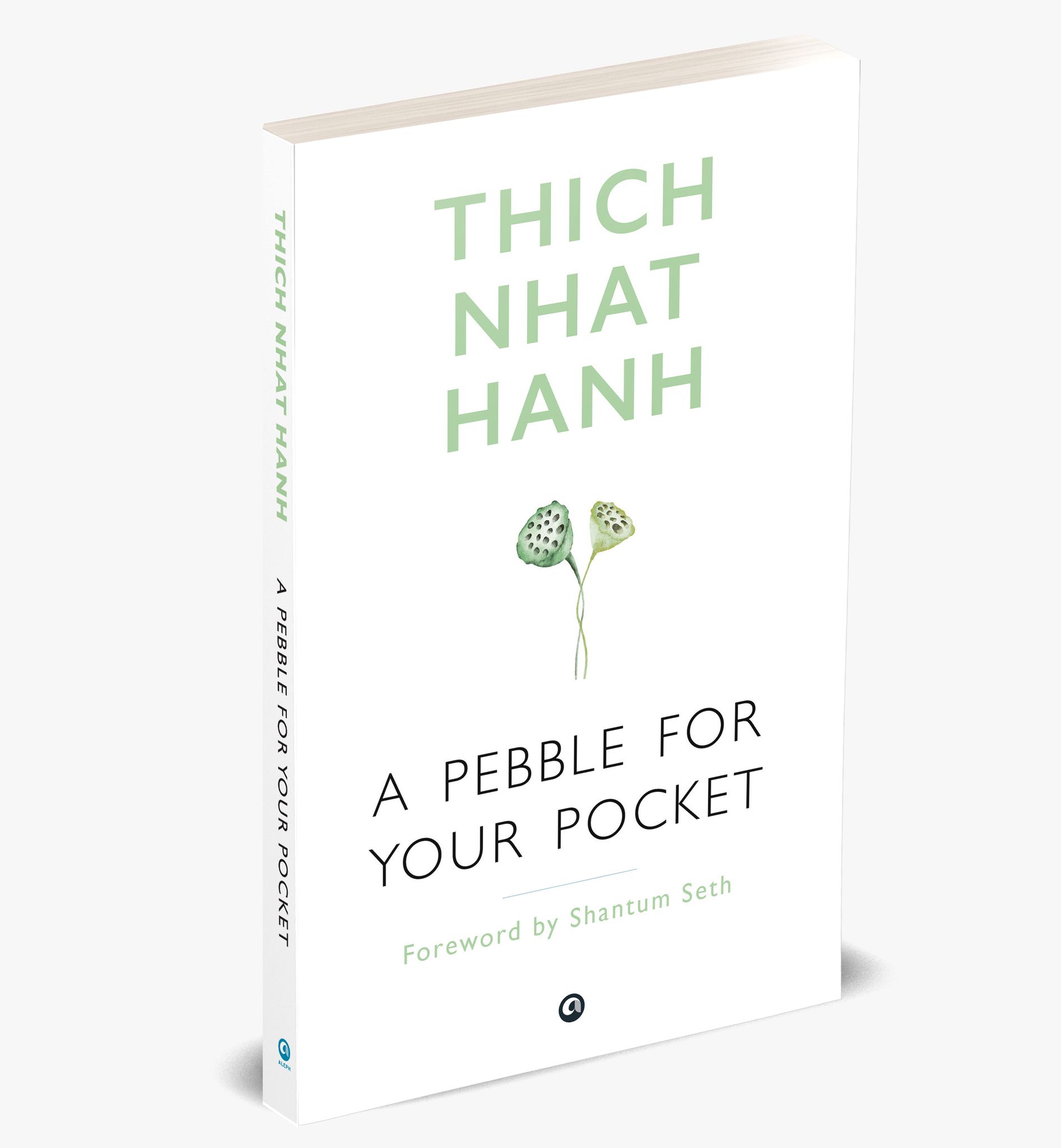 A PEBBLE FOR YOUR POCKET