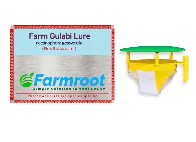 FARMROOT GULABI LURE FUNNEL TRAP  -2UNITS