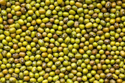 Nsc Green gram / DGG-1 CS-5 KG PACKING Nsc Green gram / DGG-1 CS-5 KG PACKING