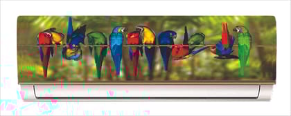 DreamKraft Beautiful Parrot Sitting Tree AC Sticker (Multicolor PVC Vinyl, 30cm X 91cm)