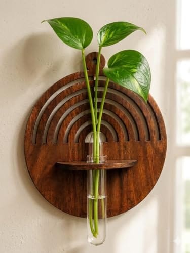 Wall Mounted Propagation Station with Glass Test Tube Vase | Hydroponic Plant Holder | Boho Wall Decor | Indoor