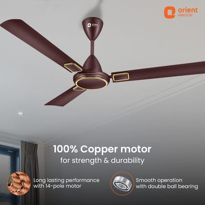 Falcon Deco High Speed Ceiling Fan | 2-Year Quality Warranty Falcon Deco High Speed Ceiling Fan | 2-Year Quality Warranty - 1200MM / Metallic Bronze Copper Falcon Deco High Speed Ceiling Fan | 2-Year Quality Warranty Falcon Deco High Speed Ceiling Fan | 2-Year Quality Warranty - 1200MM / Metallic Bronze Copper