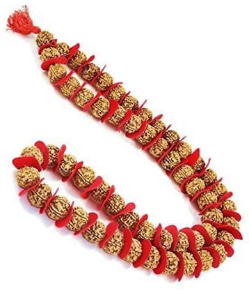 RUDRA DIVINE None ( Set of 1 )