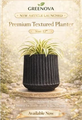 Regal pot 12inch