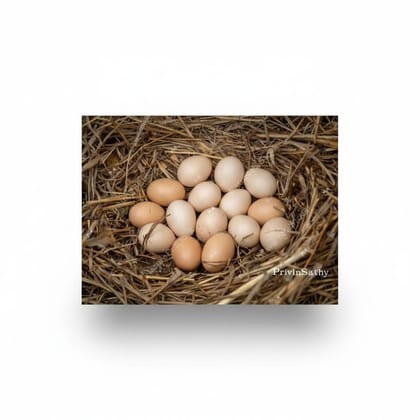Farm Fresh Eggs - 2 kg - 20 individual eggs
