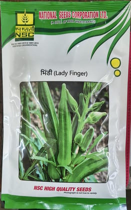 NSC Bhindi/PB-5/ 500gm