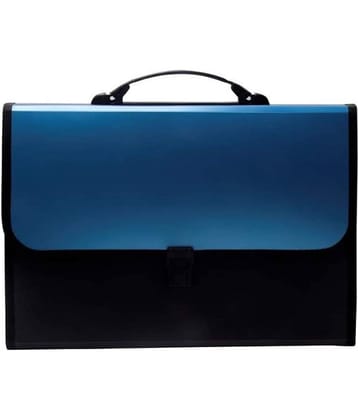 FSN - Multicolor Expandable File ( Pack of 1 )