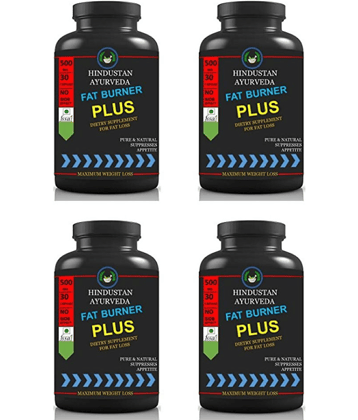 Hindustan Herbal FAT BURNER PLUS 0.4 kg Unflavoured Pack of 4