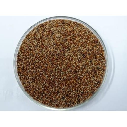 Nsc ragi vl 376 cs 5 kg packing