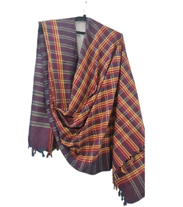 Dhaga Vishwas Ka Multicolours Handloom Cotton Stole Dhaga Vishwas Ka Multicolours Handloom Cotton Stole